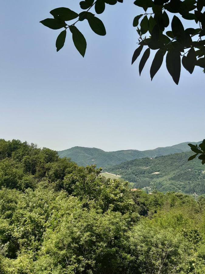 Country Residence Turicchi Londa エクステリア 写真